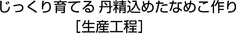 じっくり育てる 丹精込めたなめこ作り ［生産工程］